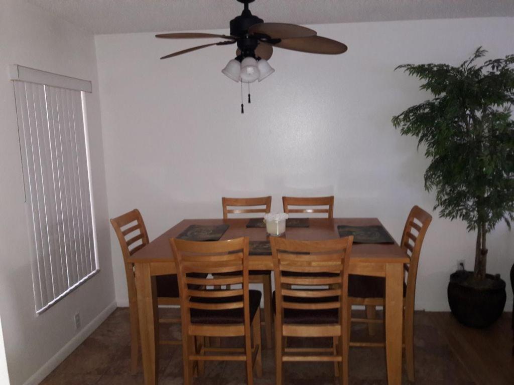 Florida Condos On Lake Tarpon パームハーバー エクステリア 写真